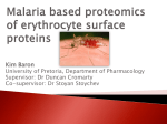 Malaria based proteomics of erythrocyte surface proteins