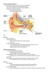 The Ear: Hearing and Balance The three parts of the ear are the
