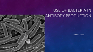 Use of Bacteria in Antibody Production - BLI-Research-Synbio