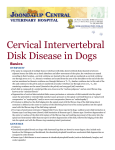 Cervical Intervertebral Disk Disease in Dogs