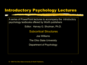 PPT on Subcortical Brain Structures