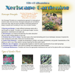 Xeriscape Principles Types of Garden Plants
