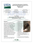 Vulture Fact Sheet - Glen Rock Borough