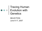Tracing Human Evolution with Genetics (Haplotypes)