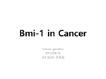 Bmi-1 in Cancer