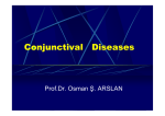 Conjunctival Diseases