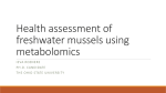 Health assessment of freshwater mussels using metabolomics