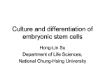 Derivation of pluripotent epiblast stem cells from mammalian embryos