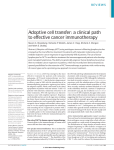 Adoptive cell transfer: a clinical path to effective cancer