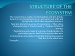 STRUCTURE OF THE ECOSYSTEM