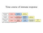 Time course of immune response