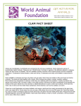 clam fact sheet - World Animal Foundation