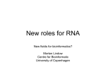 New roles for RNA