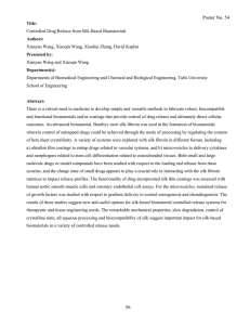 Controlled Drug Release from Silk-Based