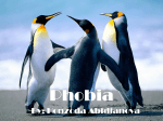 Phobias - Honzoda