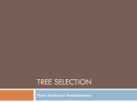 Tree Selection