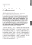Updating verbal and visuospatial working memory: Are the