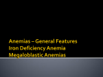 Anemias and Abnormal Red Cell Morphology