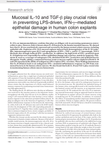 Mucosal IL-10 and TGF-β play crucial roles in preventing LPS