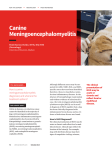 Canine Meningoencephalomyelitis