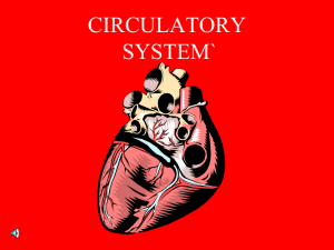 CIRCULATORY SYSTEM