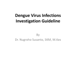 Dengue Virus Infections Investigation Guideline