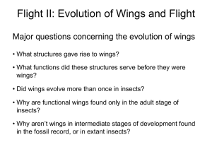 Bio5445 Lecture 13 - Biology Courses Server