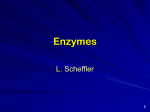Discovery of Enzymes