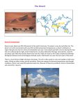 The Desert