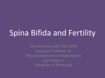 Spina Bifida and Genetic Risk