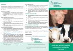 Foot and Mouth Disease Information Leaflet for Farmers