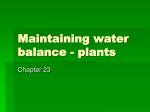 Maintaining water balance