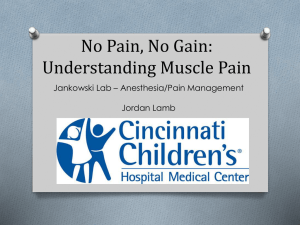 No Pain, No Gain: Understanding Muscle Pain