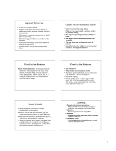 Behavior handout