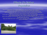 Effects On Native Vegetation