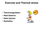 Exercise and Thermal stress