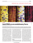 Junk DNA as an evolutionary force
