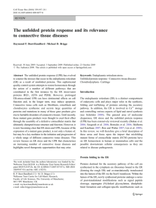 The unfolded protein response and its relevance to connective