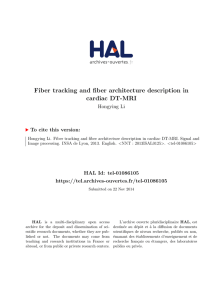 Fiber tracking and fiber architecture description in cardiac DT