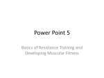 Power Point 5