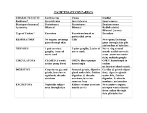 CHARACTERISTIC