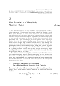 Field Formulation of Many-Body Quantum Physics {ffmbqp