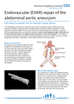 Endovascular (EVAR) repair of the abdominal