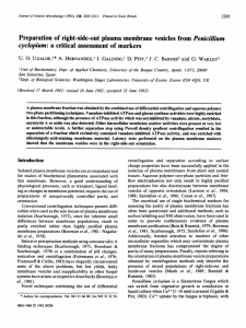 Preparation of right-side-out plasma membrane