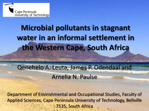 Microbial pollutants in stagnant water in an informal