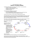 Grade 11 College Biology – Unit 3