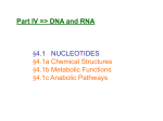 Nucleotide