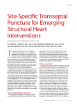 Site-Specific Transseptal Puncture for Emerging Structural Heart