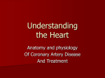 Understanding the Heart.