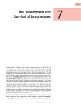 The Development and Survival of Lymphocytes